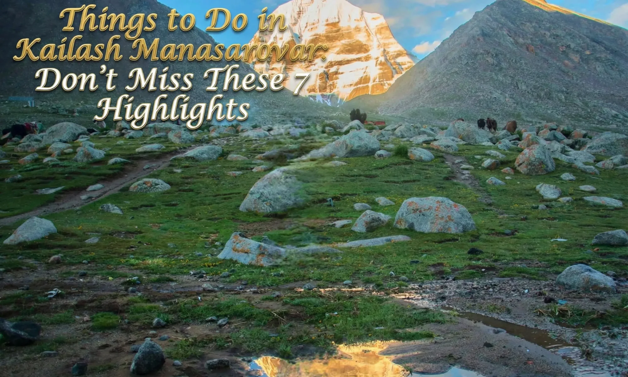 Things to Do in Kailash Manasarovar